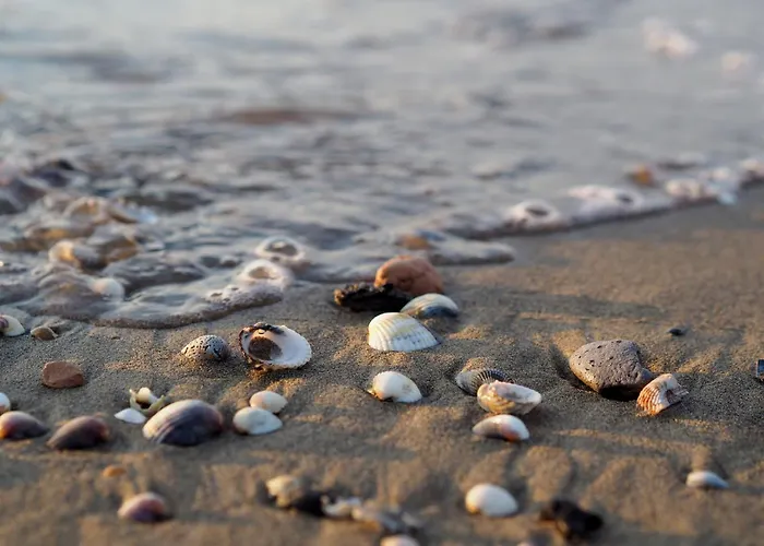 Cozy Flat With Balcony Near The In * Bibione